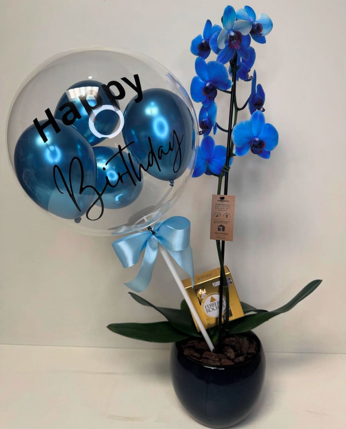 ORQUÍDEA ENCANTO AZUL